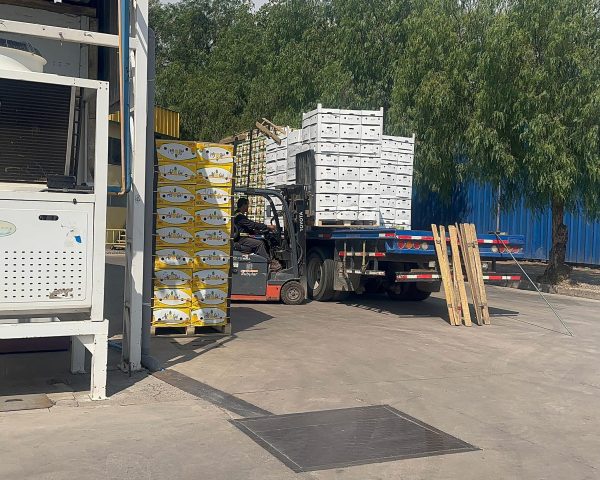 WhatsApp Image 2024-12-27 at 11.36.21