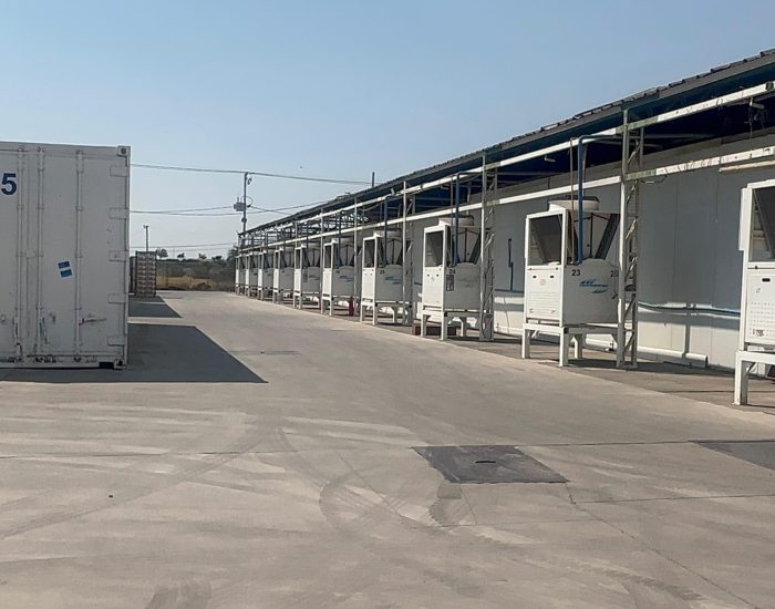 WhatsApp Image 2024-12-27 at 11.36.23 (1)